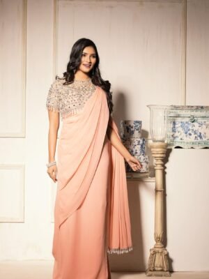 L2 stone work saree gown