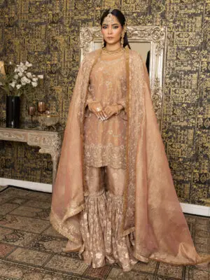 Brocade & zardozi heavy work Gharara set 2