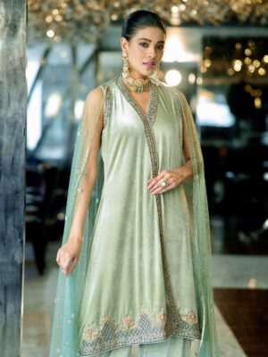 Velvet kameez with zardozi work