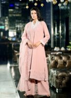 Dusty pink kameez with sequins and feather work