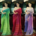 Ombre pre-drape saree