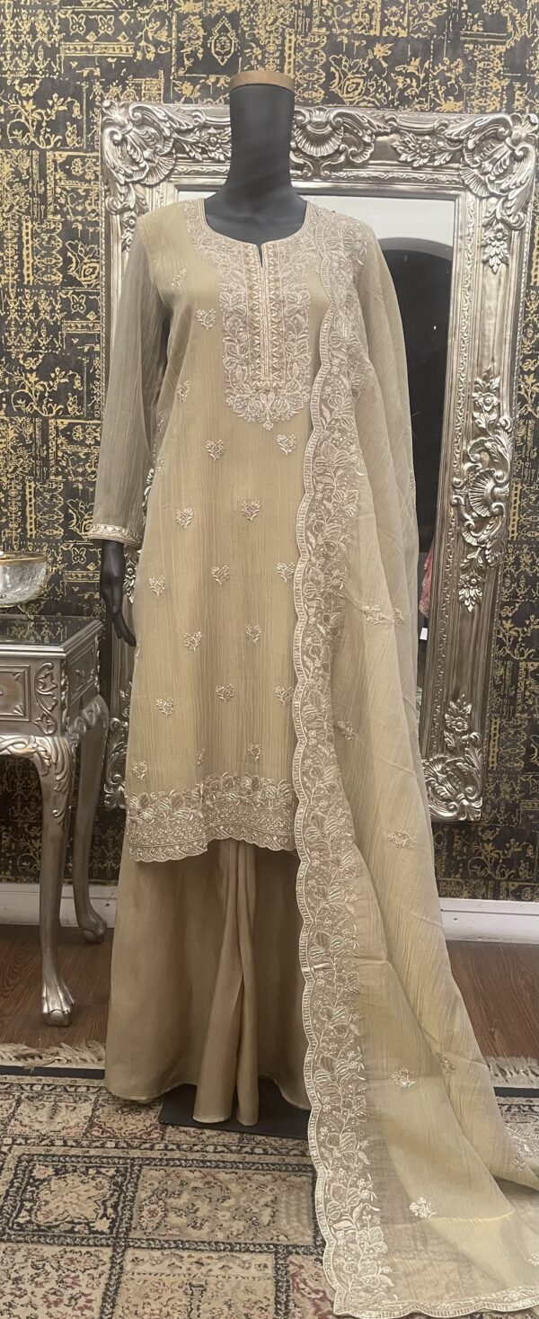 Tissue kameez sets with zari work & dabka neckline