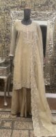 Tissue kameez sets with zari work & dabka neckline