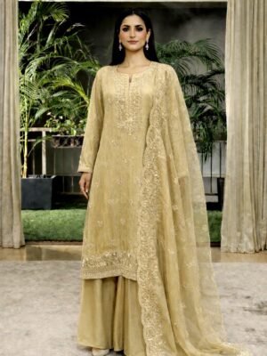 Tissue kameez sets with zari work & dabka neckline