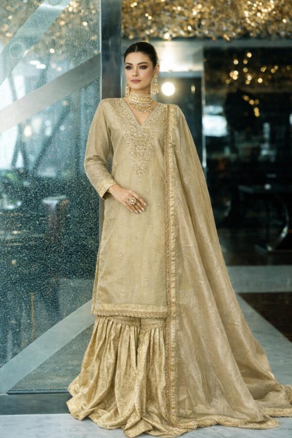 Tissue sharara set with zardozi work