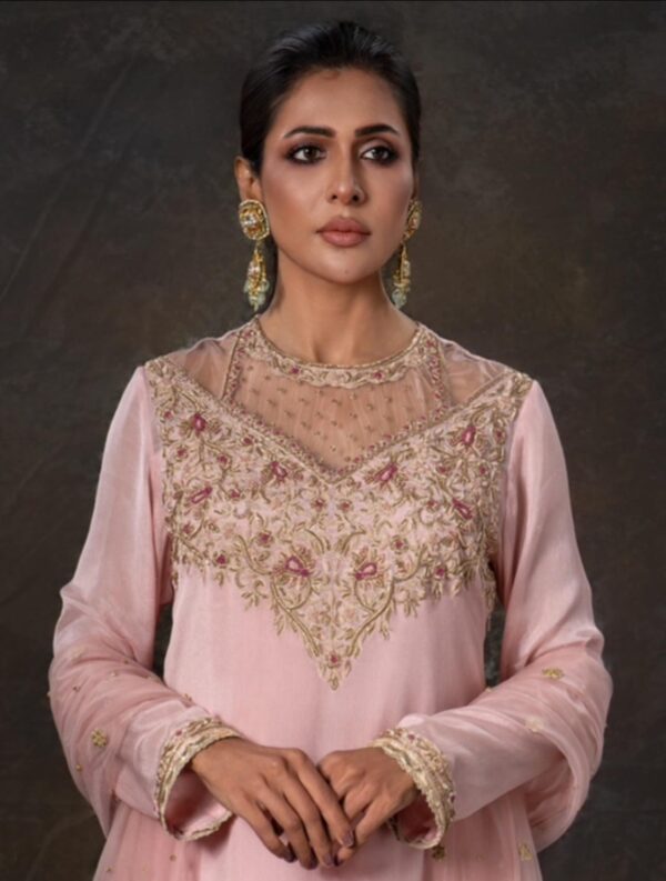 Georgette kameez with karchupi work and net dupatta