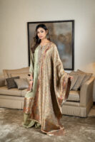 Banarsi with silk and zardozi work