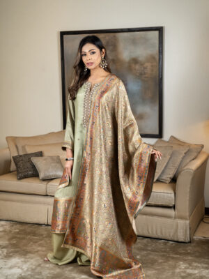 Banarsi with silk and zardozi work