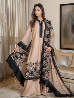 Cotton Chanderi kameez with embroidery