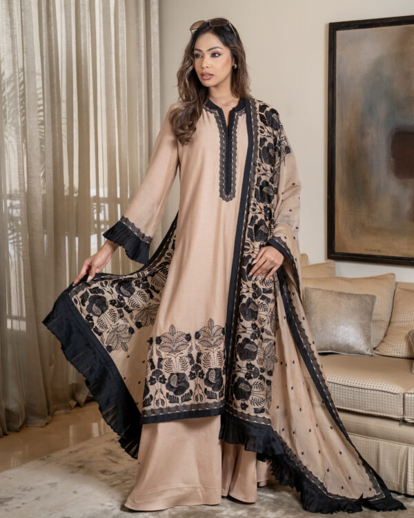 Cotton Chanderi kameez with embroidery