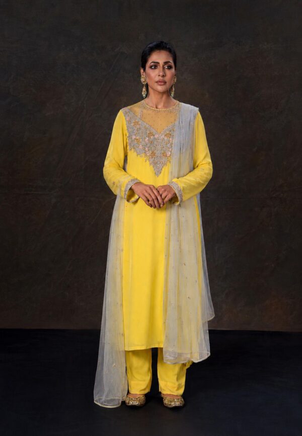 Georgette kameez with karchupi work and net dupatta